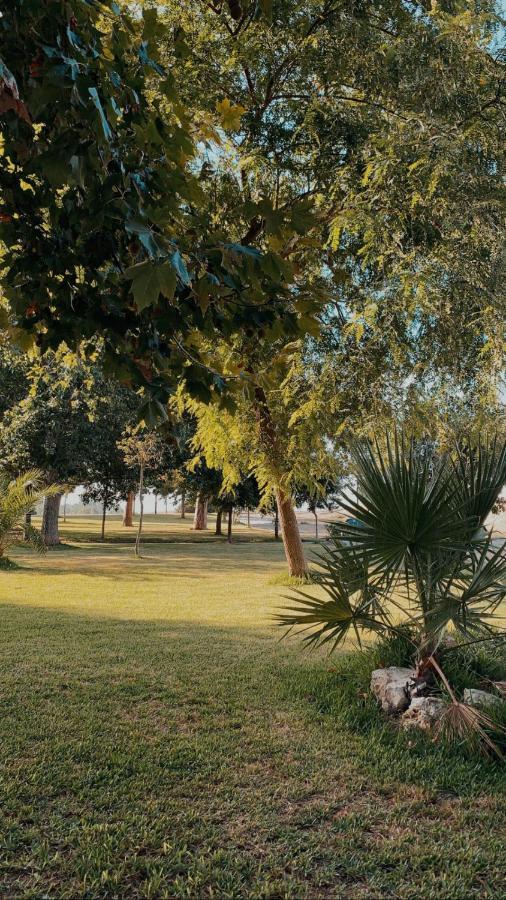 El Encuentro Daire Jedula Dış mekan fotoğraf
